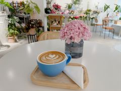 -Gigi Florist·Dk Coffee