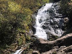 -东白山