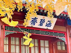 -香山公园