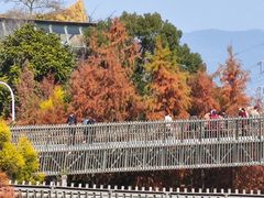 -梅峰山地公园