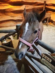 -酷嗒动物文化乐园(cutezoo西溪乐天城店)