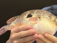 -永安鱼庄·镇江菜(东吴路店)