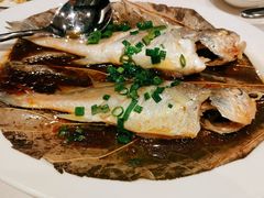 -莲苑中餐厅·Lotus Court(厦门马哥孛罗东方大酒店)