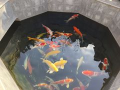 -西安市广仁寺