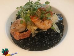 -Casa Fina Seafood & Oyster Bar