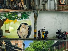 -溪岸路花鸟市场