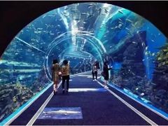 -成都浩海立方海洋公园