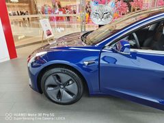 -TESLA 特斯拉(郑州正弘城体验店)