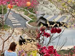 -桃源山庄·水蜜桃采摘·柴火鸡·烧烤团建(龙泉山店)