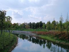 -眉山湿地公园(东坡区)