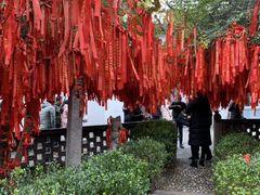 -關東雪东北菜(中庚漫游城店)