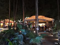 -二荆条·蜀鲜汇城市森林火锅