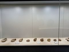 -辽宁古生物博物馆