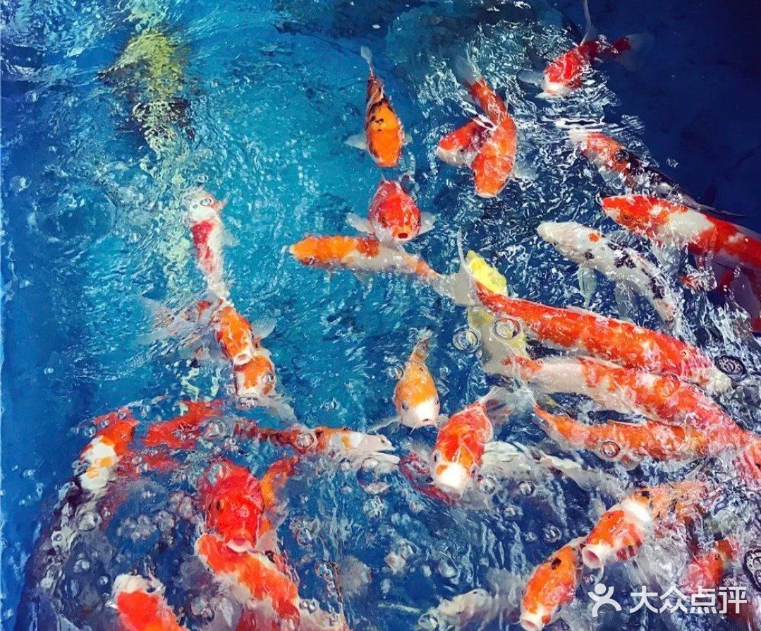 亲子动物乐园，小朋友放电欢乐无限