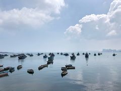 -海源公园