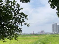 -光明小镇欢乐田园