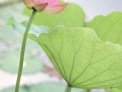 -北山街历史文化街区