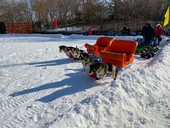 -北京亚布洛尼朝阳公园滑雪场