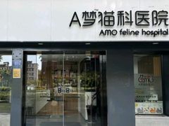 -御宝贝·A梦猫科宠物医院(国际猫友好医院)