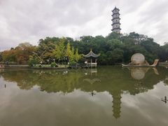 -江心屿景区