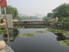 -丁家河公园