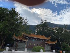 -深圳仙湖植物园