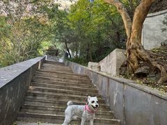 -圣莲山风景区