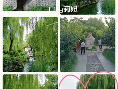 -趵突泉景区