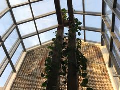 -瓦库茶馆17号(海汇港店)