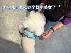 -安琪娜动物医院•健康管理•骨科•急重症诊疗中心