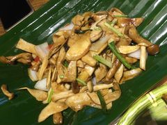 包烧菌菇-茶花妹子云南餐厅(北大店)