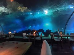 -海棠湾洲际-涛·海底餐厅·美人鱼·自助餐·海底隧道