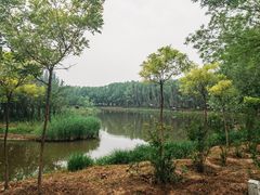 -东郊湿地公园