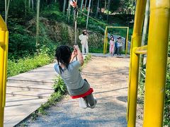 -东明山森林公园