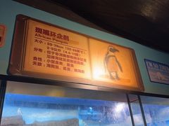-海合安武汉极地海洋公园
