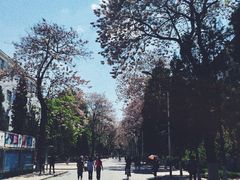 -北京邮电大学
