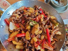 -印象鲵宴·张家界地标美食名片(溪布街店)