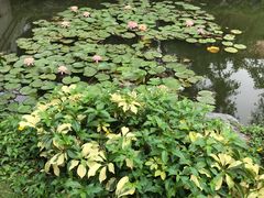 -珠海圆明新园