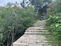 -飞凤山奥体公园