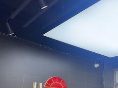 -车艺尚上海龙膜隐形车衣汽车贴膜旗舰店
