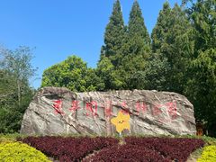 -东平国家森林公园