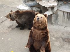 -保定市动物园