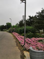 点击看大图 -爱儿美儿童摄影(奥森公园店)
