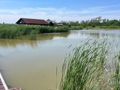 -盐城丹顶鹤湿地生态旅游区
