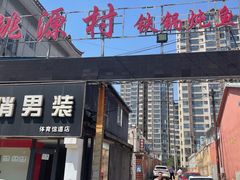 -桃源村铁锅炖鱼(体育馆道店)