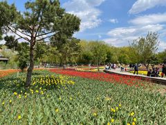 -长春公园(普阳街道)