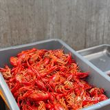 装修一般，招牌猪肉串的味道顶呱呱！