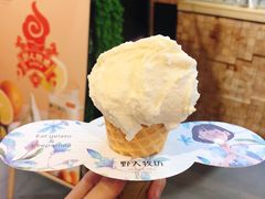 -野人先生现做冰淇淋(西安赛格店)