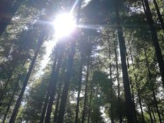 -山王坪喀斯特国家生态公园