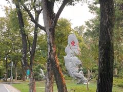 -东湖落雁景区
